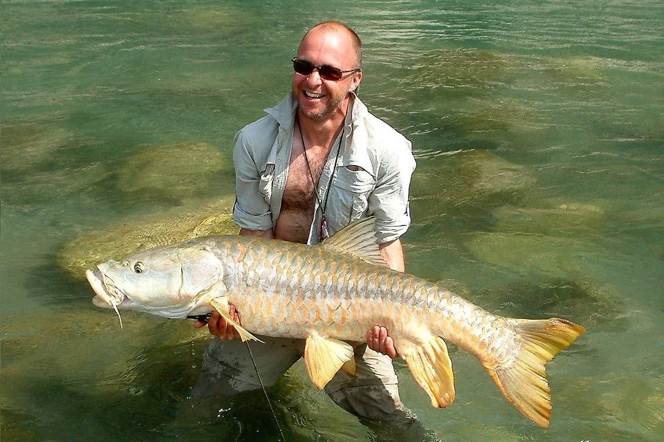 Golden Mahseer