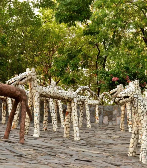 Rock Garden Chandigarh